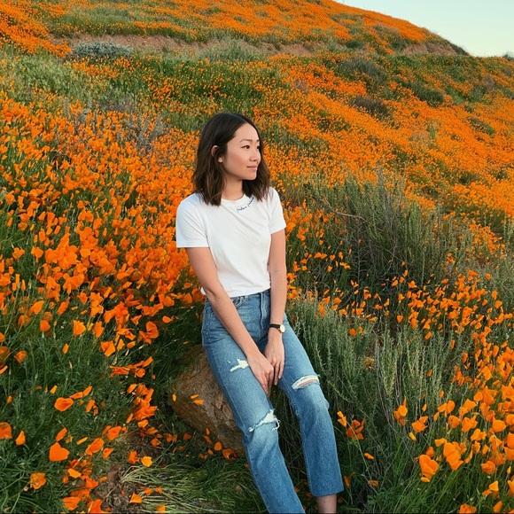 Meet your Posher, Catherine - Picture 2 of 2